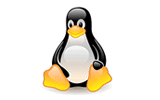 在 macOS 上安装 Perl